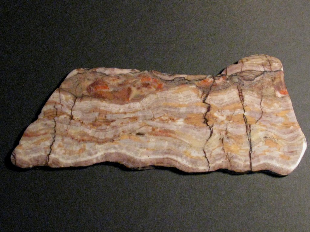 Lower Proterozoic Stromatolite from Michigan