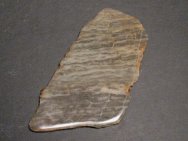 Archaean Hadrophycus Stromatolites