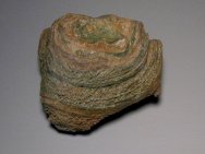 Stromatolites from Green River