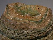 Chlorellopsis Stromatolites