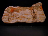 Stromatolites
