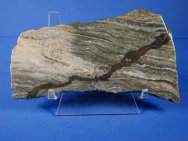 Gunflint Stromatolites