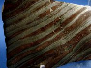 Paleoproterozoic Banded Iron