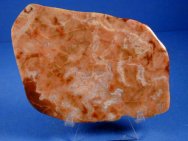 Archaean Stromatolites