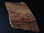 Baicalia capricornia Stromatolites