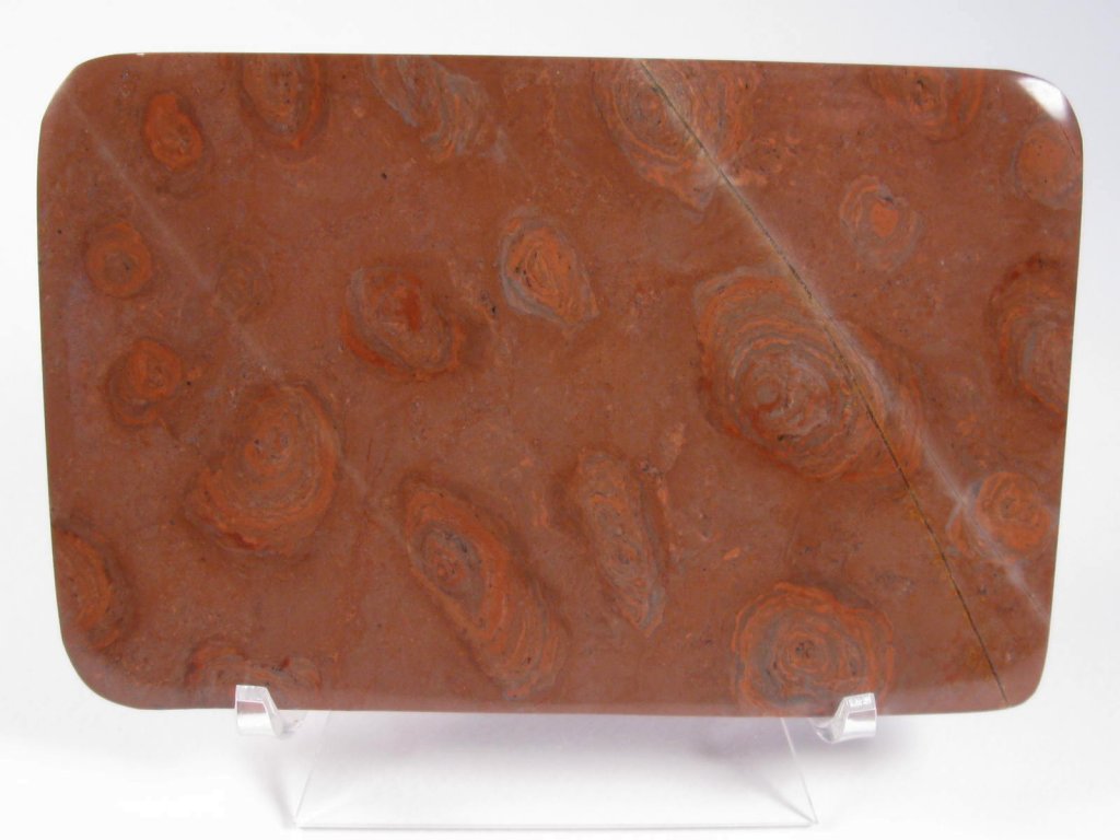 Mesoproterozoic Stromatolites