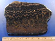 Bolivian Precambrian Stromatolite