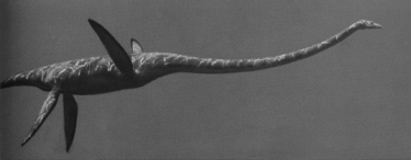 Plesiosaurus mauritanicus