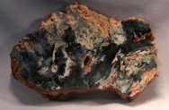 Ephyalpes edingunnensis Stromatolites