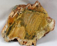 Strelley Pool Oldest Archaean Stromatolites