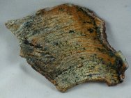 Putative Oldest Strelley Pool Stromatolites