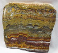 Vendian Fossil Stromatolites