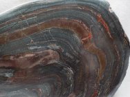 Paleoproterozoic Banded Iron Stromatolite from Michigana