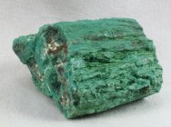 Araucarioxylon arizonicum Plant Fossil