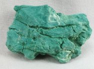 Araucarioxylon arizonicum Petrified Wood Fossil