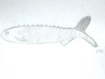 Lasanius Jawless Fish Illustration