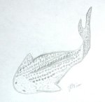 Thelodontiformes Fossil Art